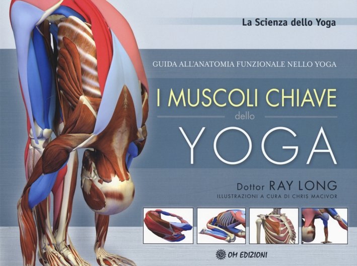 I Muscoli Chiave dello Yoga. Guida all'Anatomia Funzionale nello Yoga | Immagine principale
