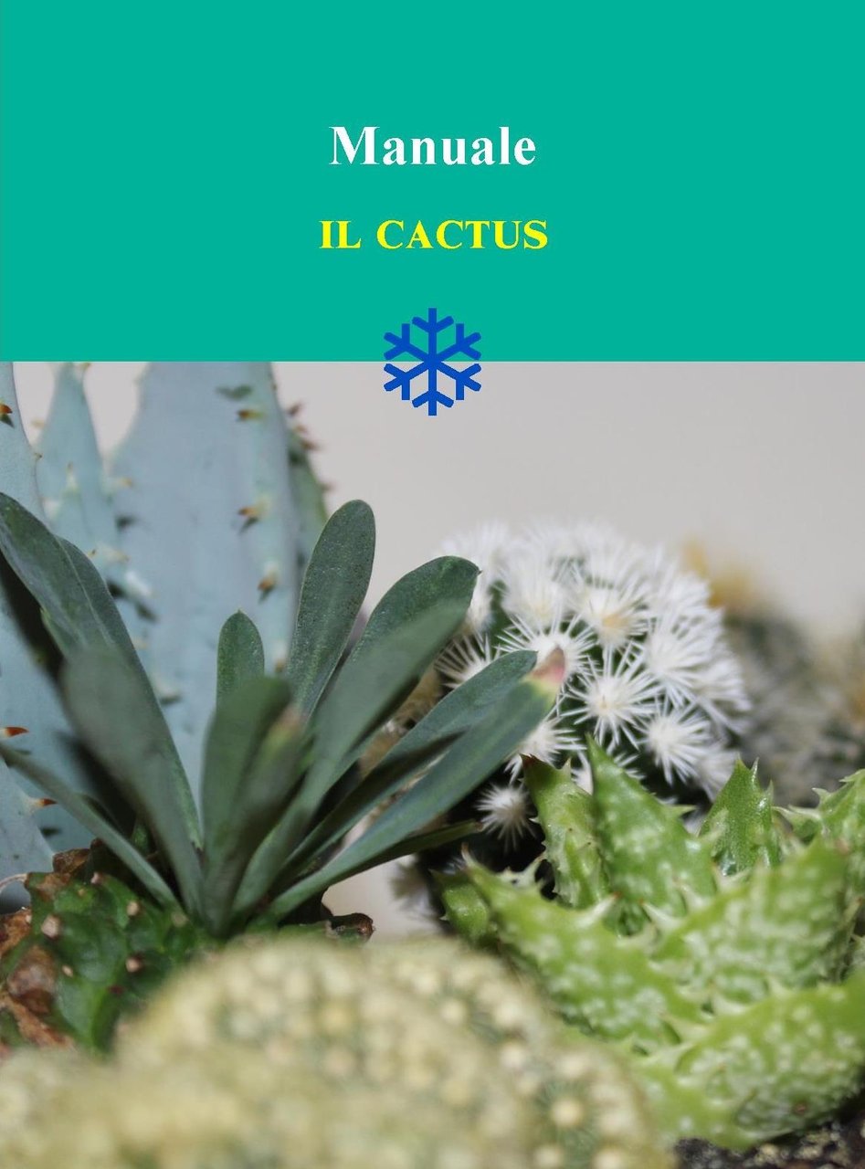 Il cactus, Sanremo, Biblioteca delle Soluzioni, 2023