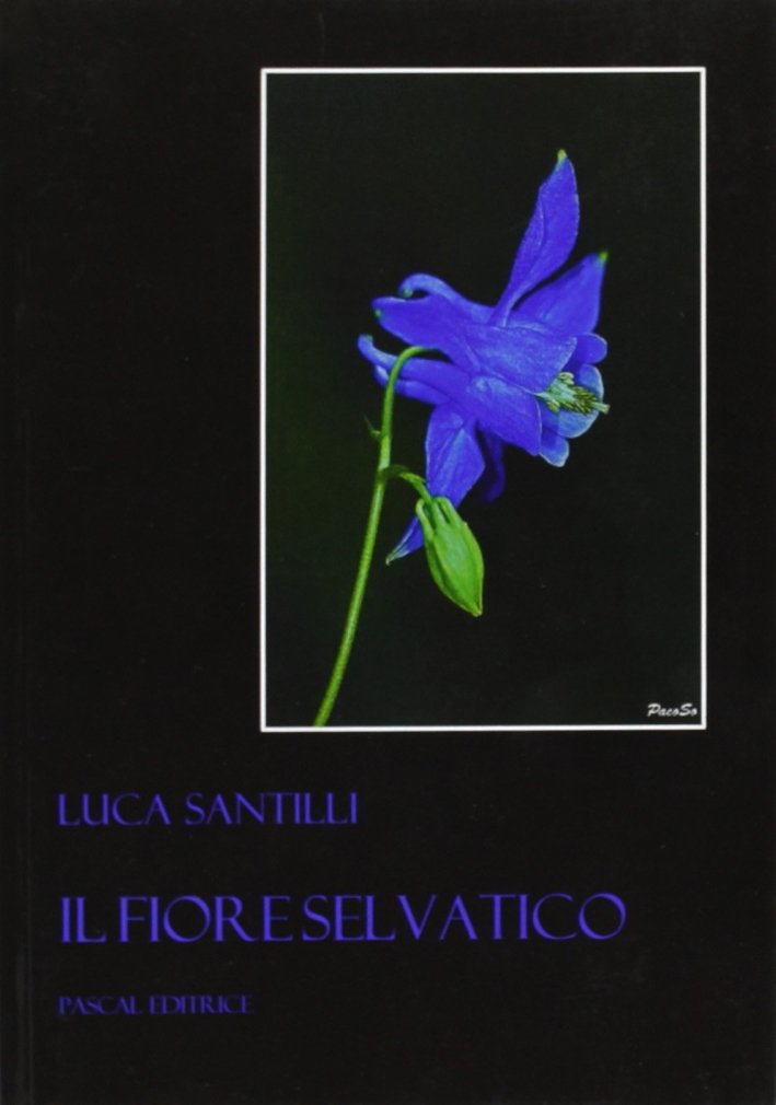 Il fiore selvatico, Siena, Pascal Editrice, 2008 | Immagine principale