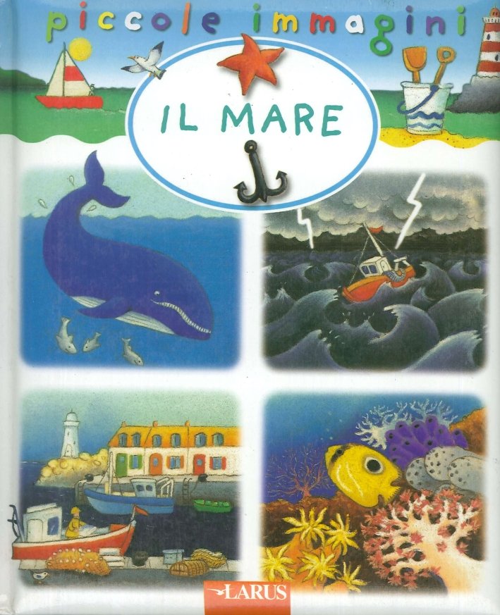 Il mare, Bergamo, Larus, 2020