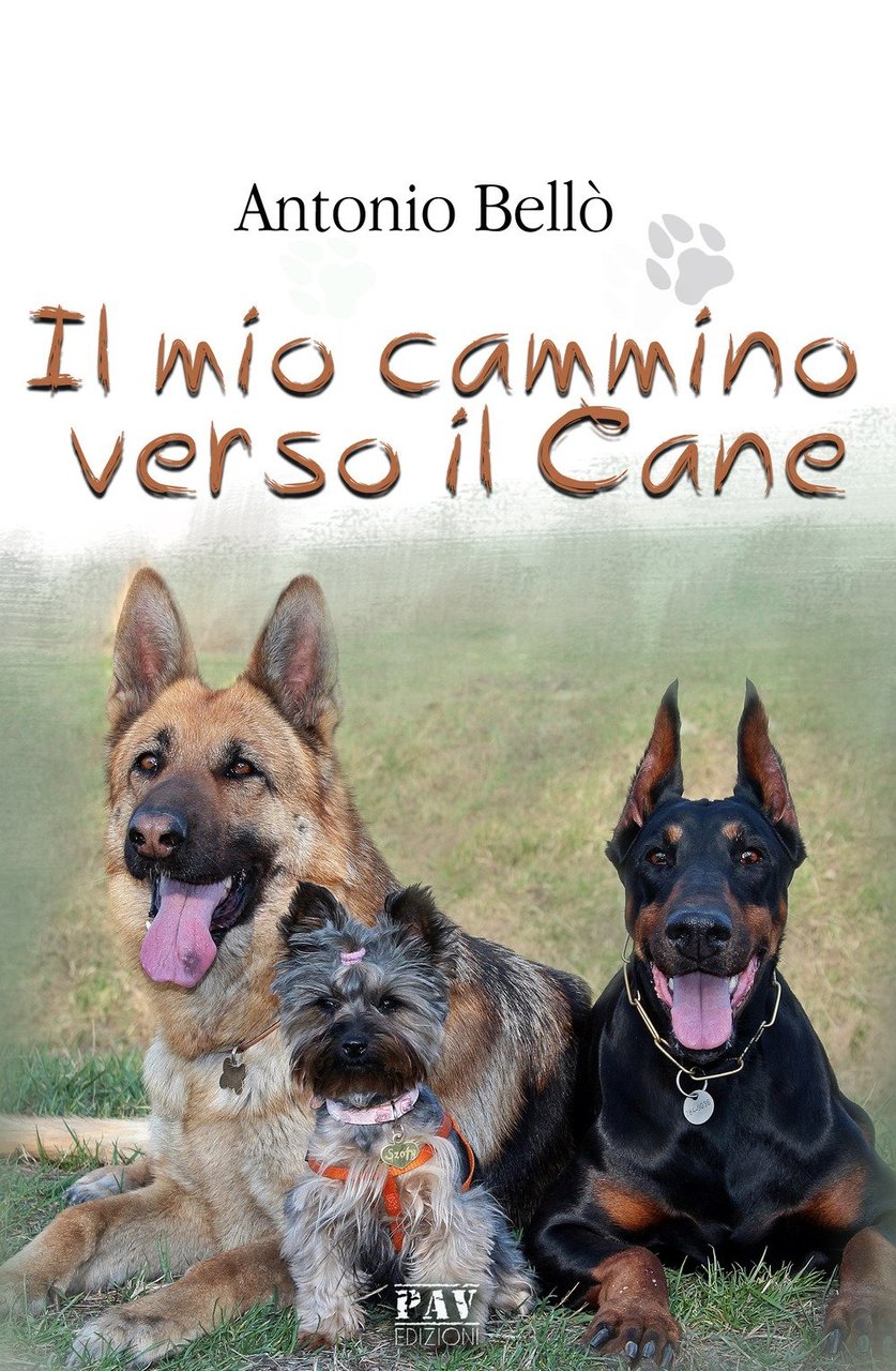 Il mio cammino verso il cane | Immagine principale