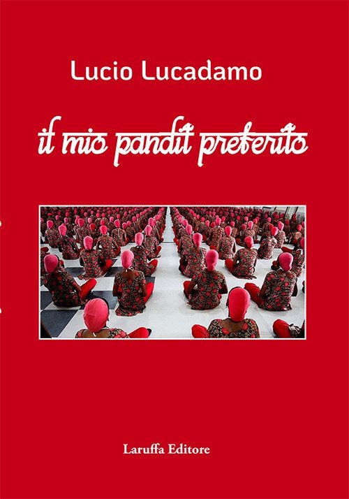 Il mio pandit preferito | Immagine principale
