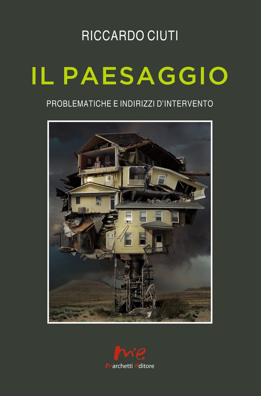 Il paesaggio. Problematiche e indirizzi d'intervento, Pisa, Marchetti Editore, 2020 | Immagine principale
