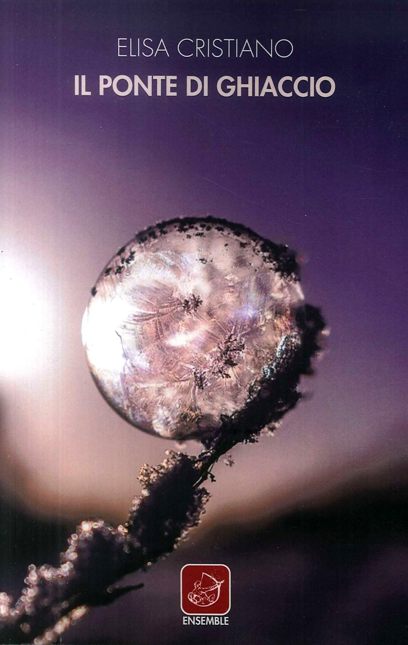 Il ponte di ghiaccio, Roma, Edizioni Ensemble, 2018