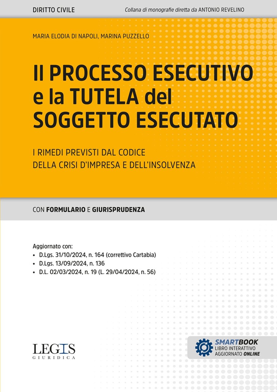 Il processo esecutivo e la tutela del soggetto esecutato. I …