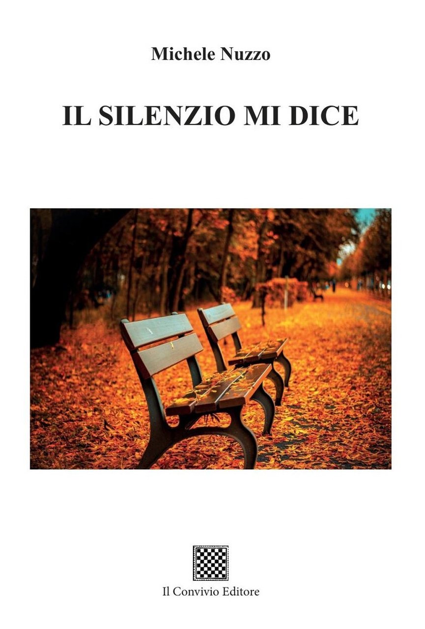 Il silenzio mi dice | Immagine principale