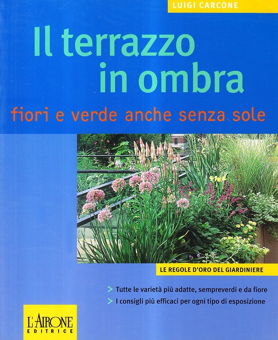 Il terrazzo in ombra. Fiori e verde anche senza sole, … | Immagine principale
