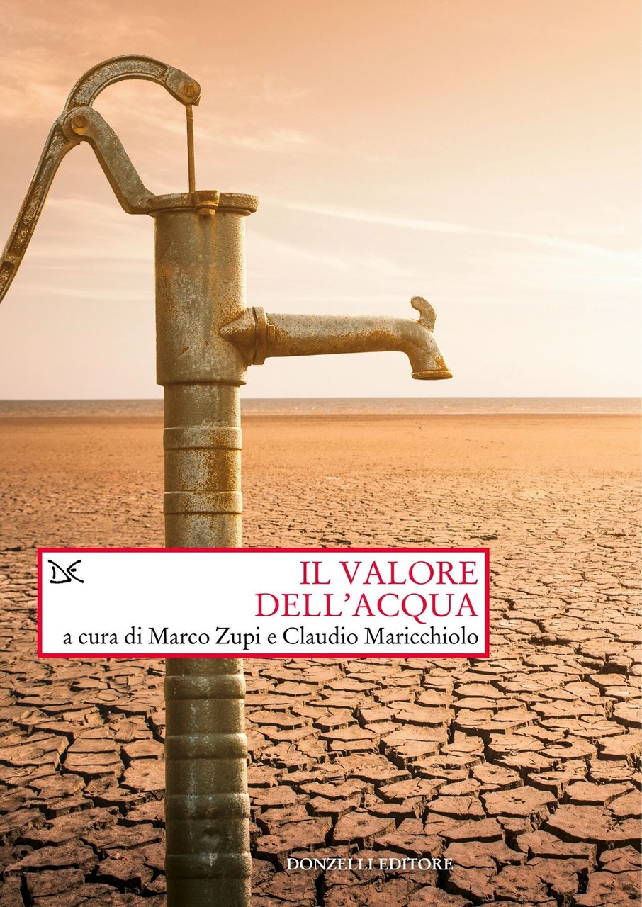 Il valore dell'acqua, Roma, Donzelli Editore, 2021