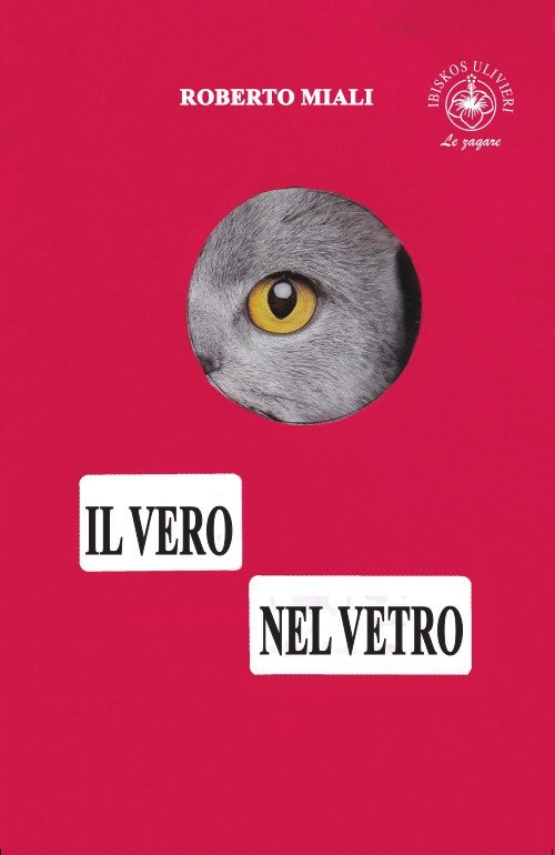 Il Vero nel Vetro