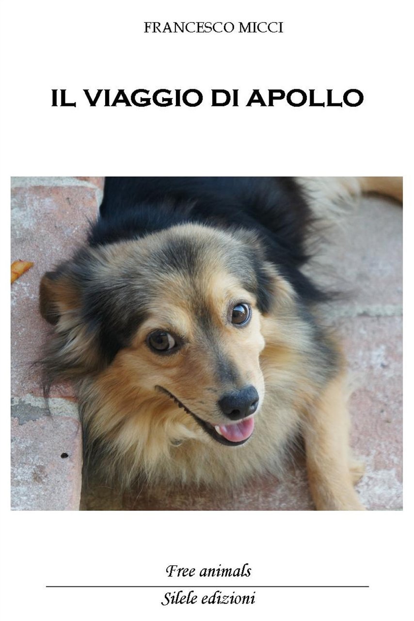 Il Viaggio di Apollo, Villongo, Silele edizioni, 2017