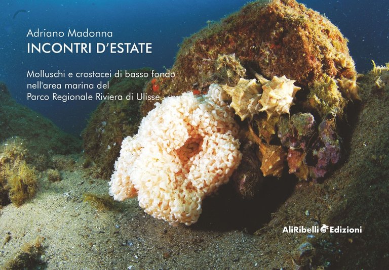 Incontri d'estate: molluschi e crostacei di basso fondo nell'area marina del Parco Riviera di Ulisse, Gaeta, Ali Ribelli Edizioni, 2022