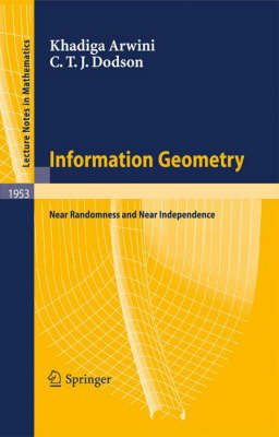 Information Geometry, Heidelberg, Springer-Verlag KG, 2008 | Immagine principale