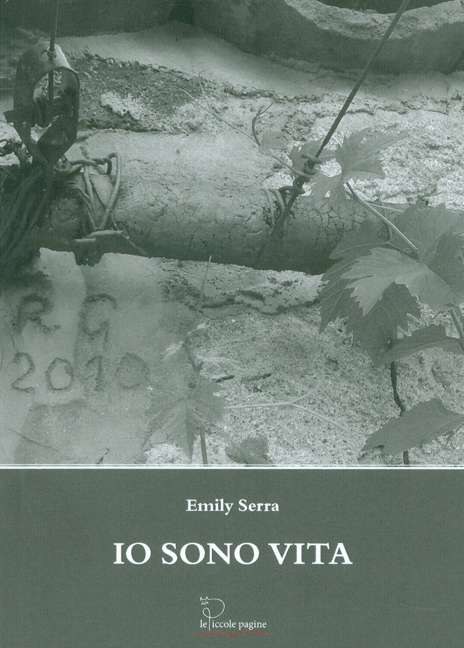 Io sono vita, Calendasco, Le Piccole Pagine, 2018 | Immagine principale