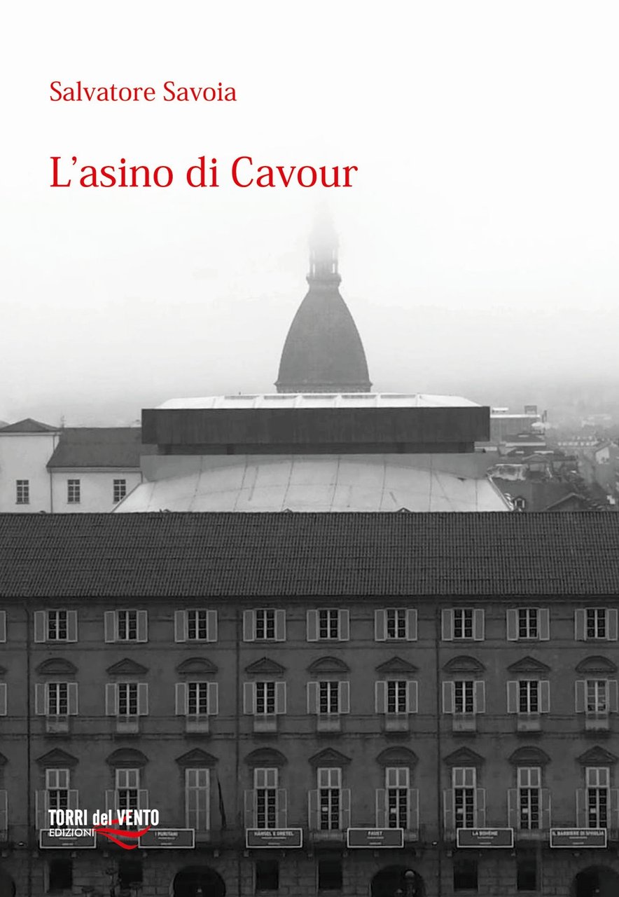 L'asino di Cavour | Immagine principale