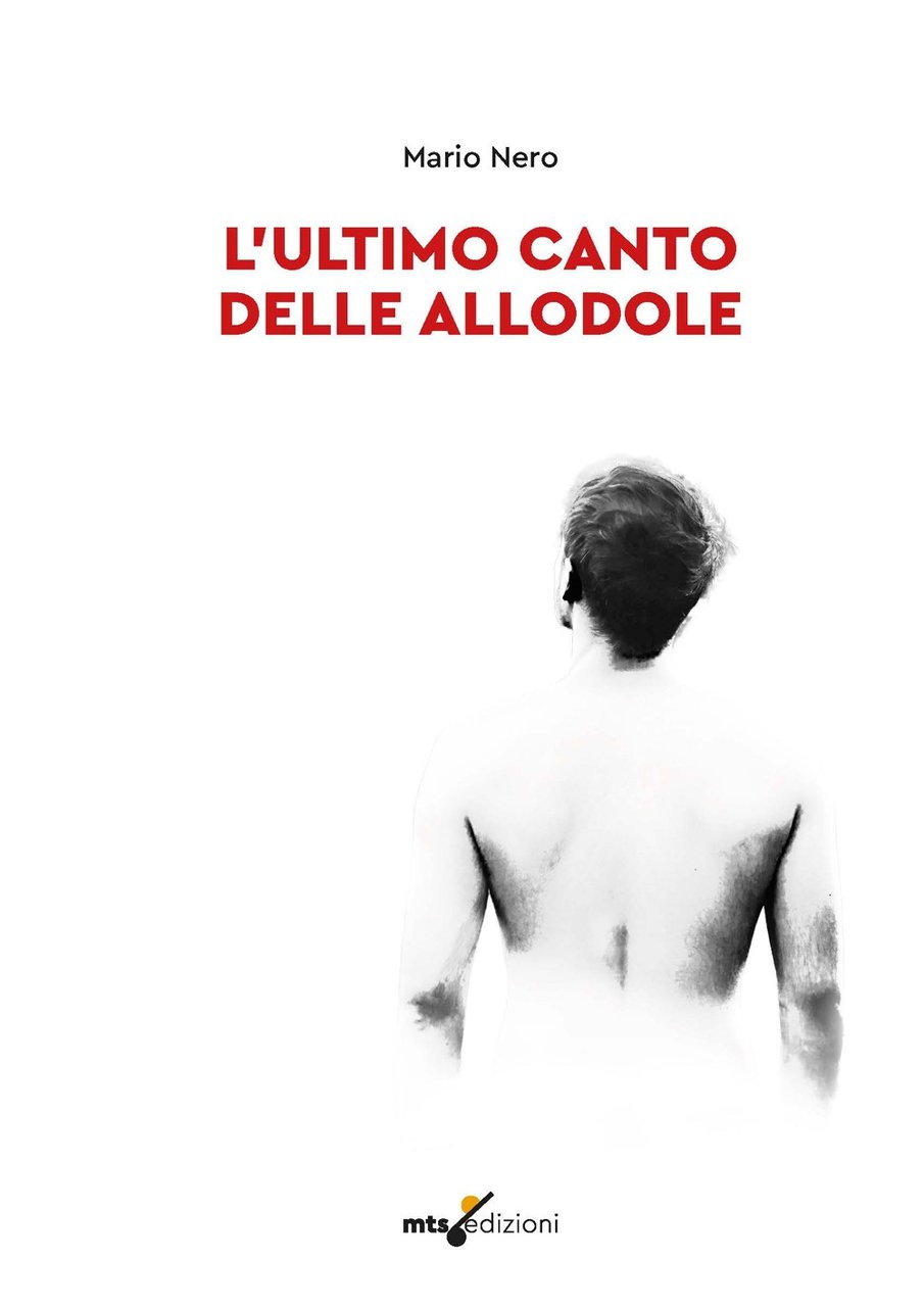 L'ultimo canto delle allodole. Nuova ediz