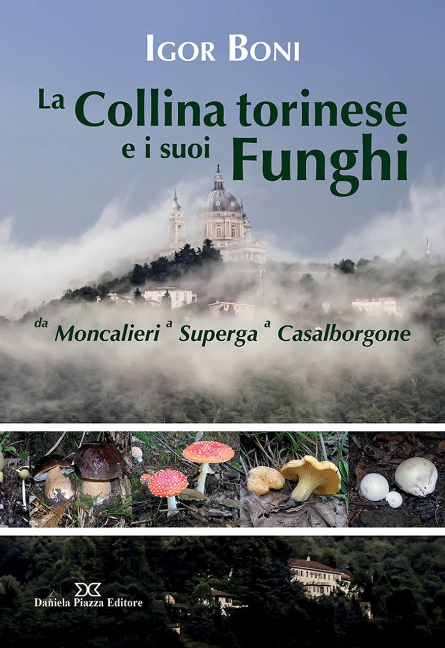 La collina torinese e i suoi funghi da Moncalieri a … | Immagine principale