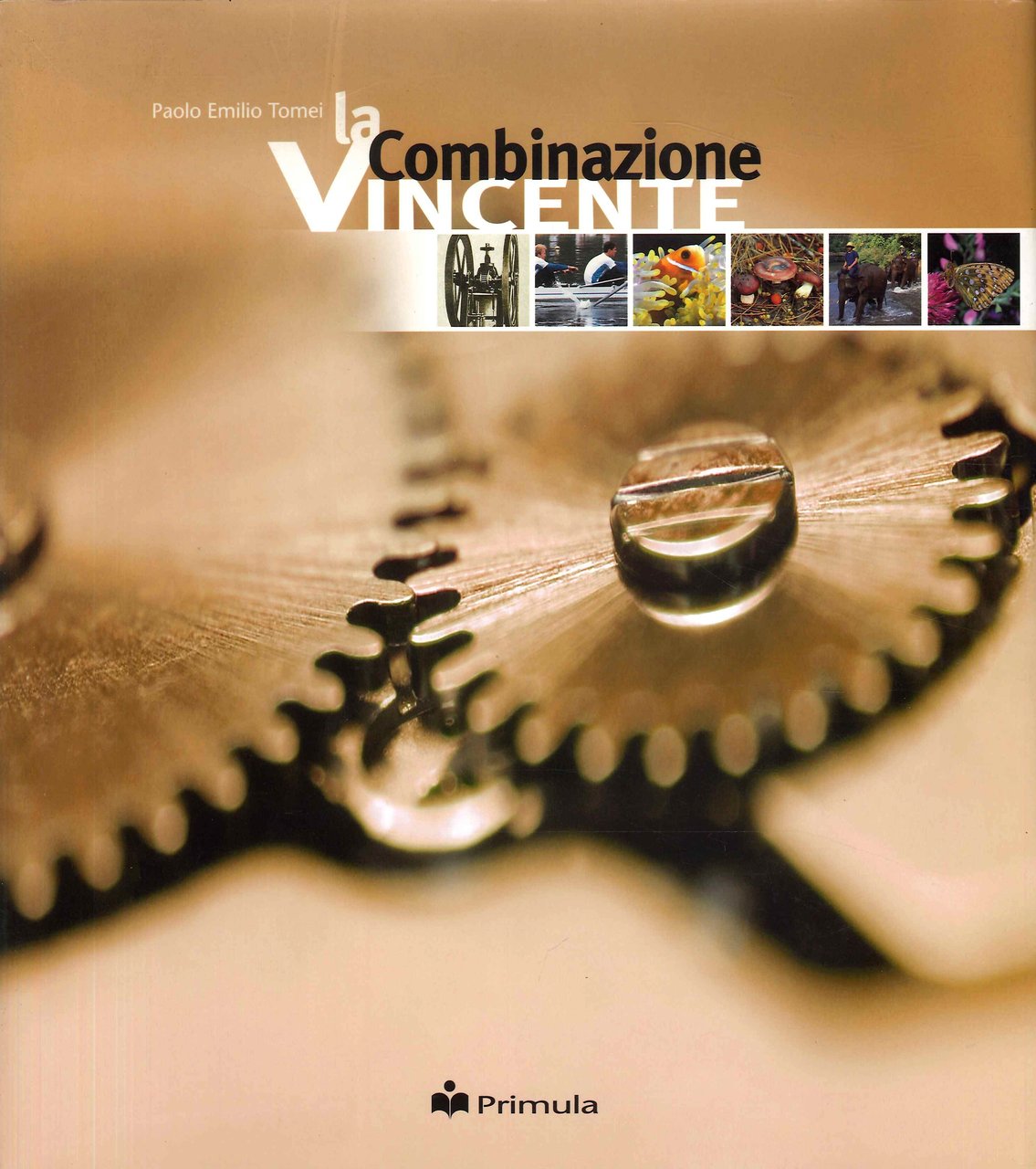La combinazione vincente, Ghezzano, Primula Multimedia, 2005 | Immagine principale