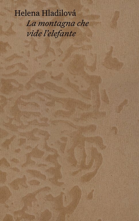 La montagna che vide l'elefante | Immagine Gallery 2