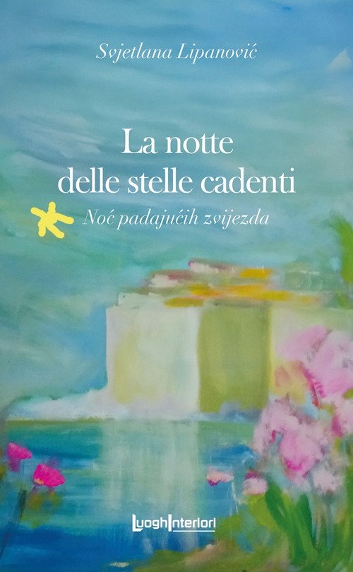 La notte delle stelle cadenti