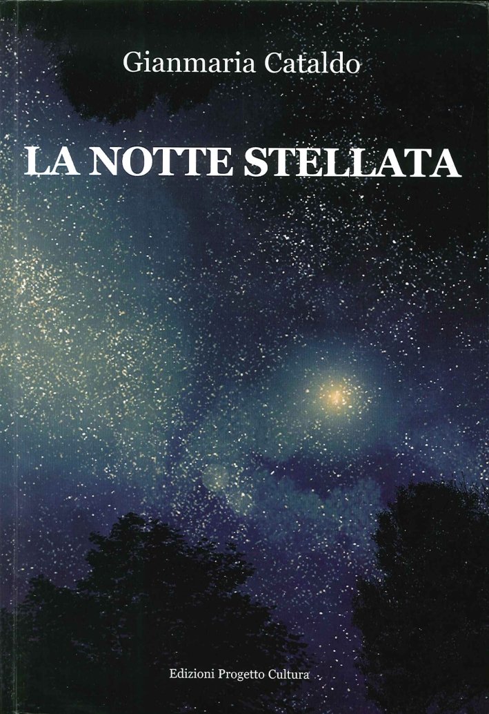 La notte stellata, Roma, Progetto Cultura, 2015 | Immagine principale
