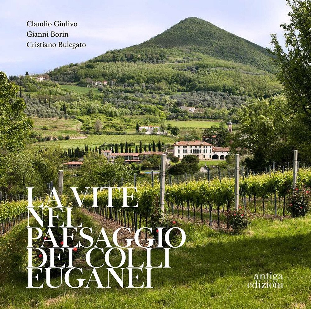 La vite nel paesaggio dei Colli Euganei. Cenni storici, elementi …