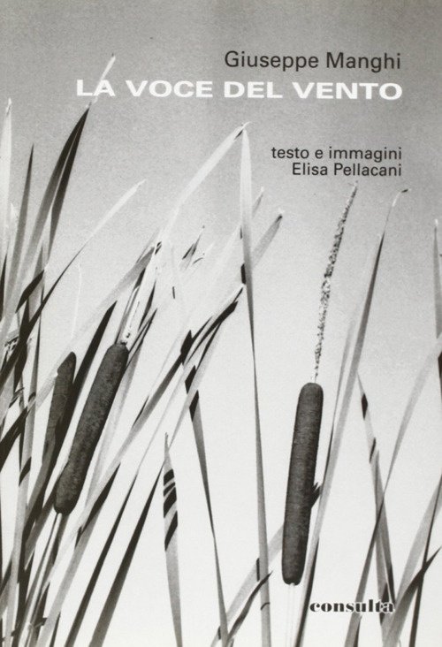 La voce del vento, Reggio Emilia, Consulta Libri e Progetti, 2004