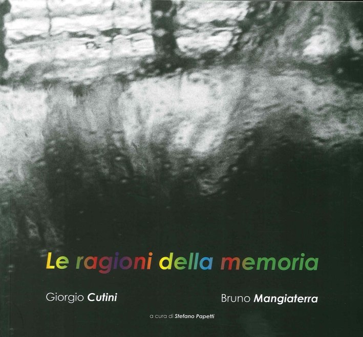 Le ragioni della memoria, Ancona, Il Lavoro Editoriale, 2015 | Immagine principale