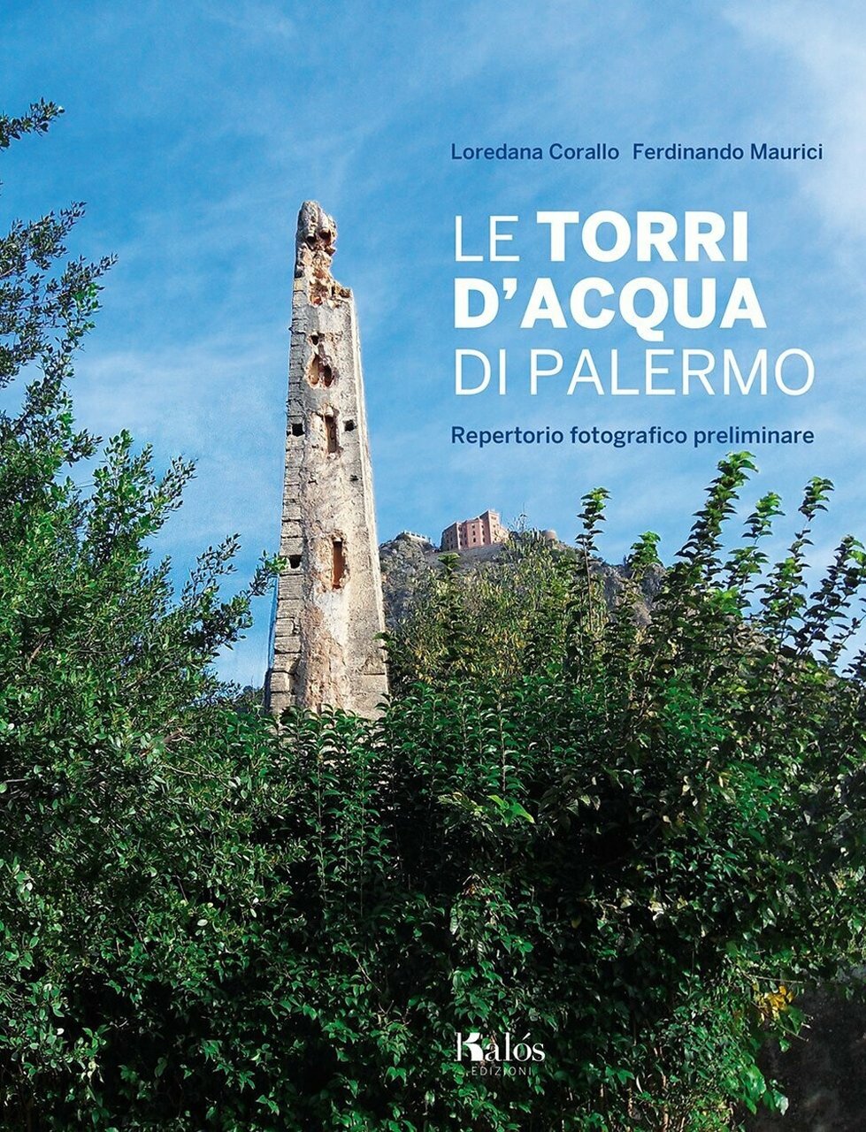 Le torri d'acqua di Palermo. Repertorio fotografico preliminare