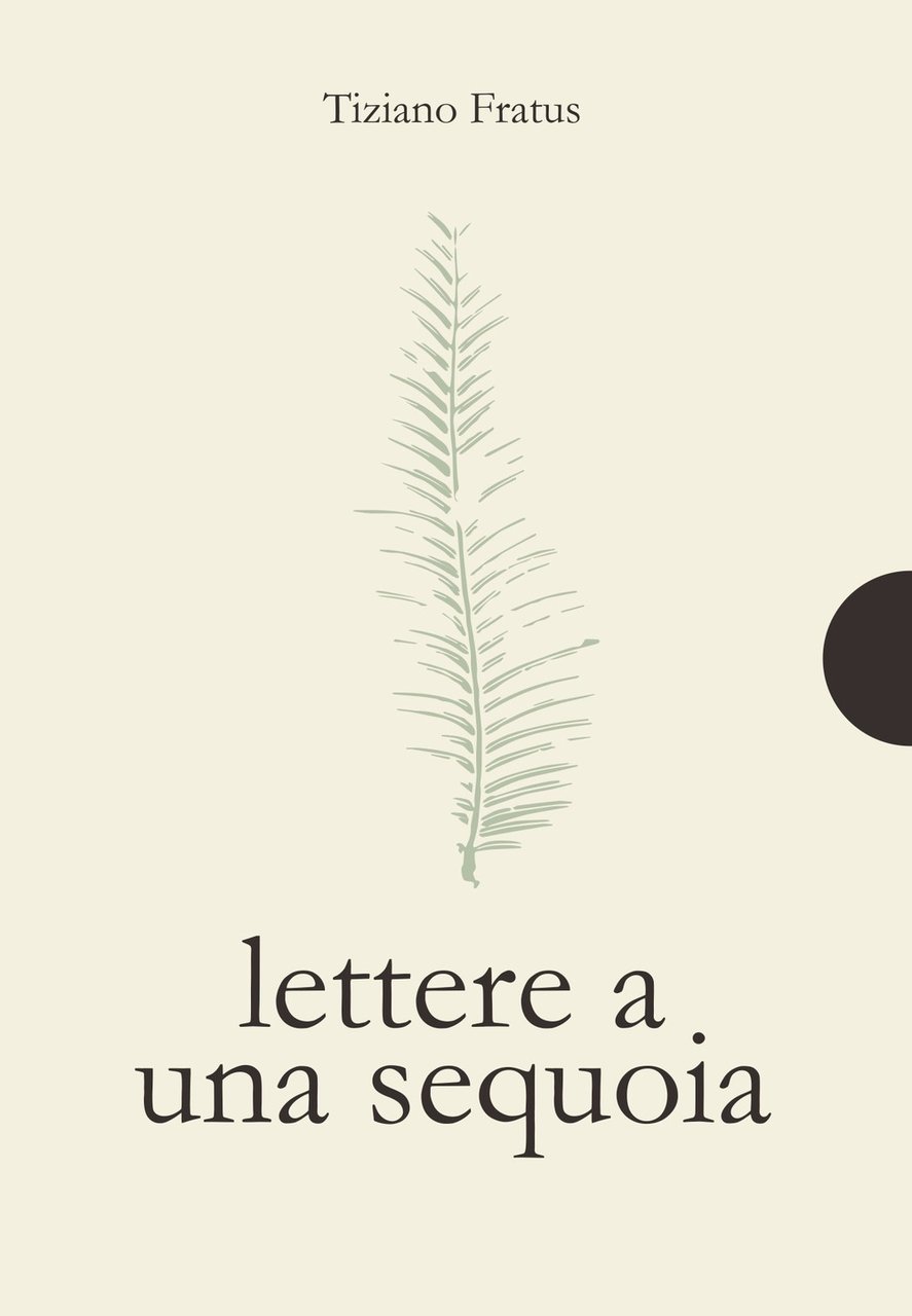 Lettere a una sequoia | Immagine principale