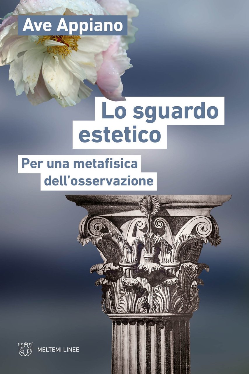 Lo sguardo estetico. Per una metafisica dell'osservazione | Immagine principale