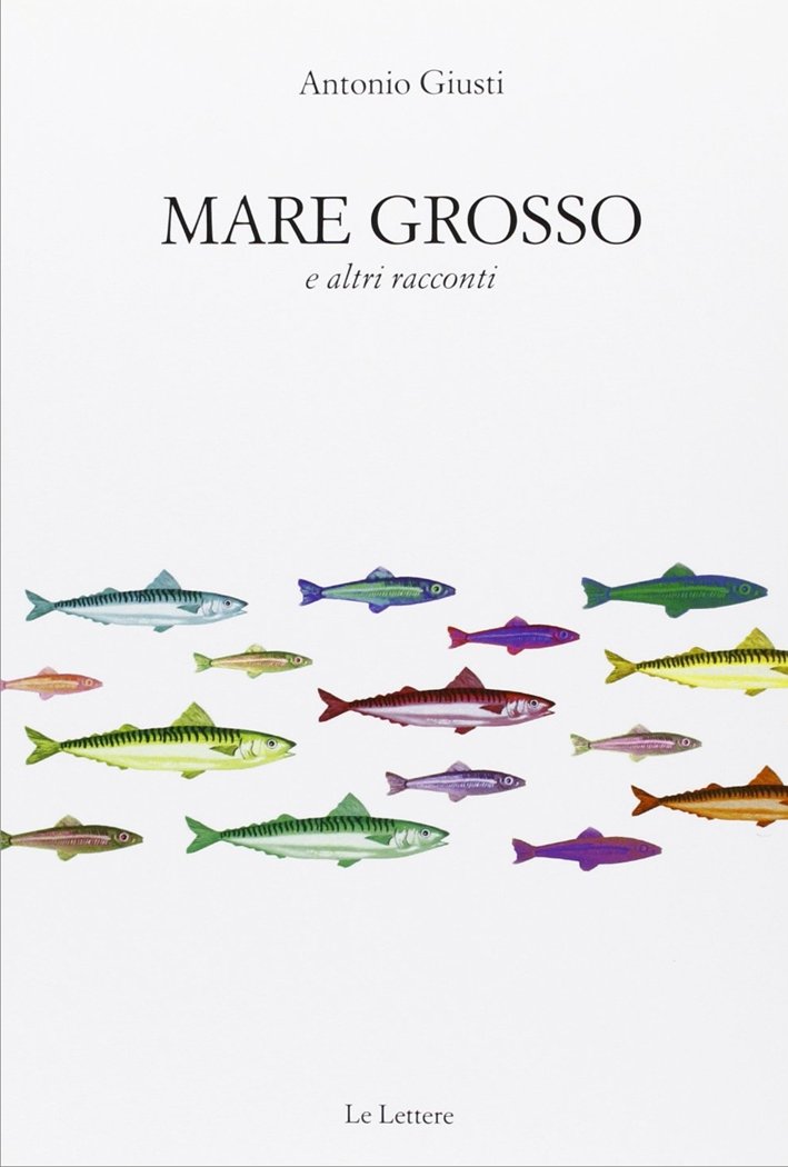 Mare grosso e altri racconti, Firenze, Le Lettere, 2012 | Immagine principale