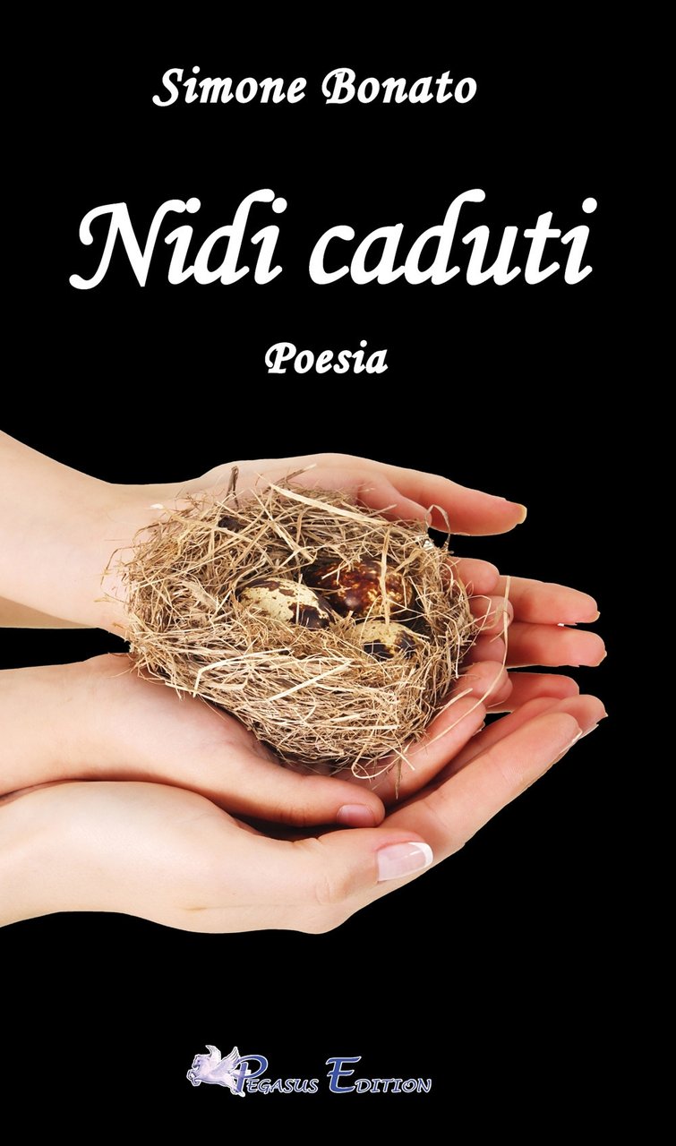 Nidi caduti, Cattolica, Pegasus Edition, 2022