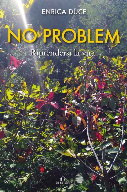 No problem. Riprendersi la vita, Genova, De Ferrari Editore, 2022
