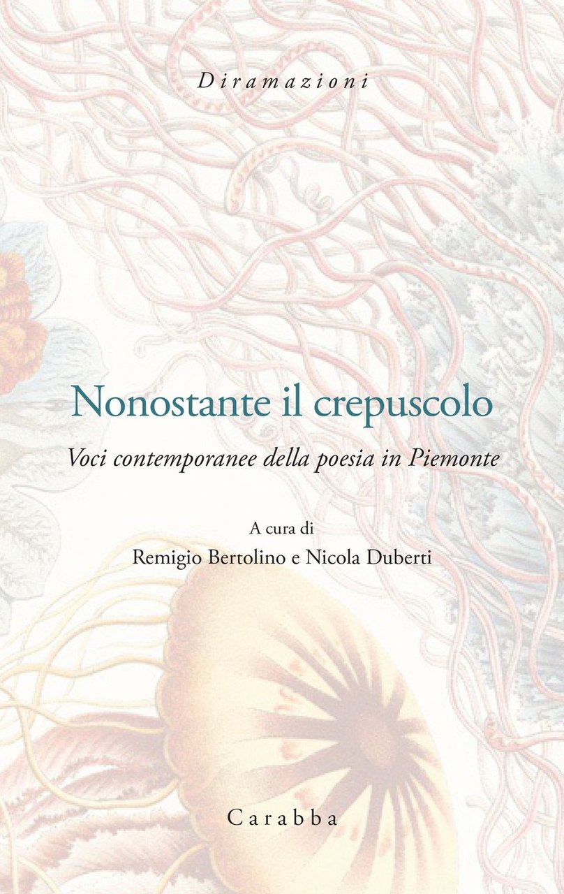 Nonostante il crepuscolo | Immagine principale