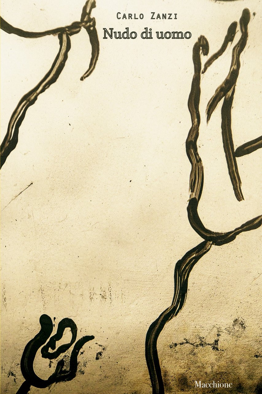 Nudo di uomo, Varese, Macchione Editore, 2019