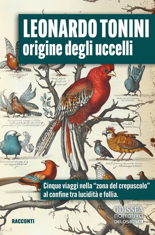 Origine degli Uccelli