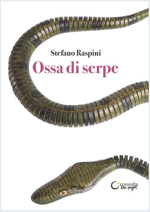 Ossa di serpe. Laboratori creativi sul libro della Scuola Primaria …