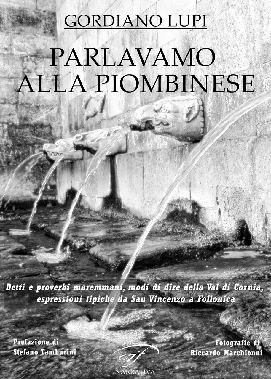 Parlavamo alla piombinese | Immagine principale