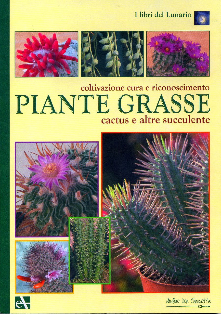Piante grasse, Ferrara di Monte Baldo, Mulino Don Chisciotte, 2008