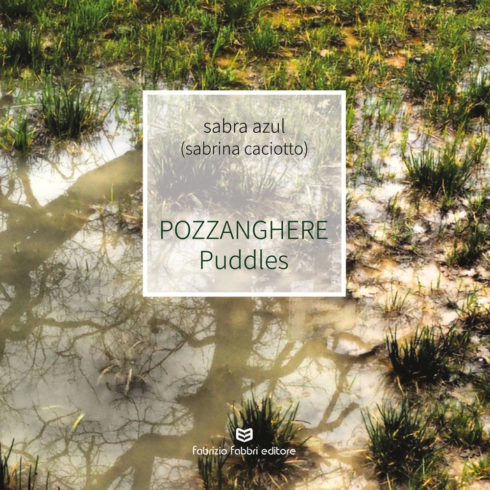 Pozzanghere-Puddles, Perugia, Fabrizio Fabbri Editore, 2019 | Immagine principale