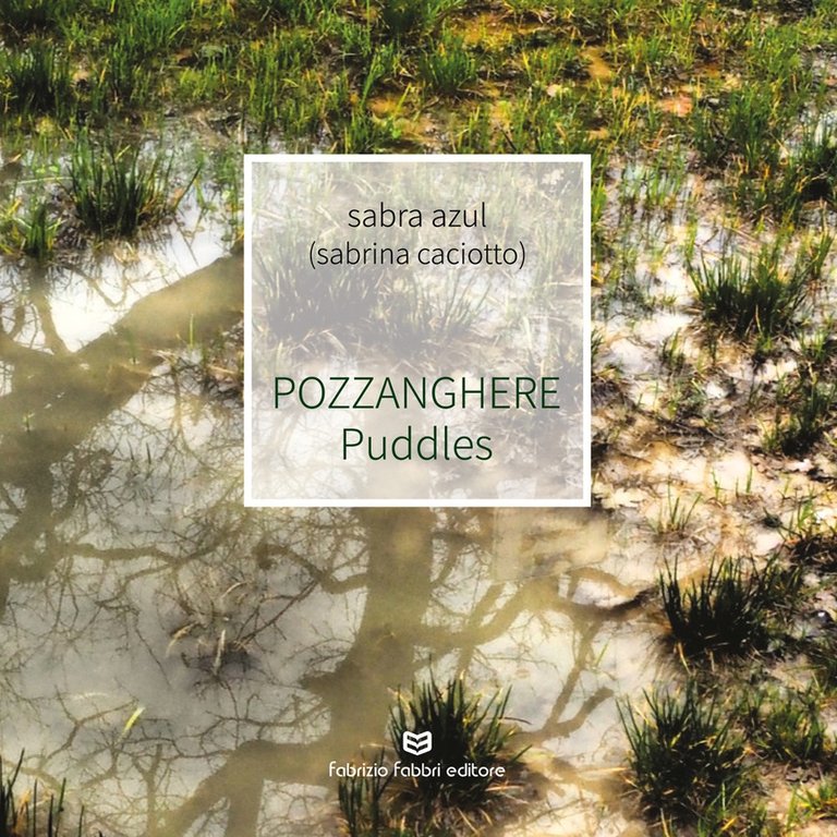 Pozzanghere-Puddles, Perugia, Fabrizio Fabbri Editore, 2019