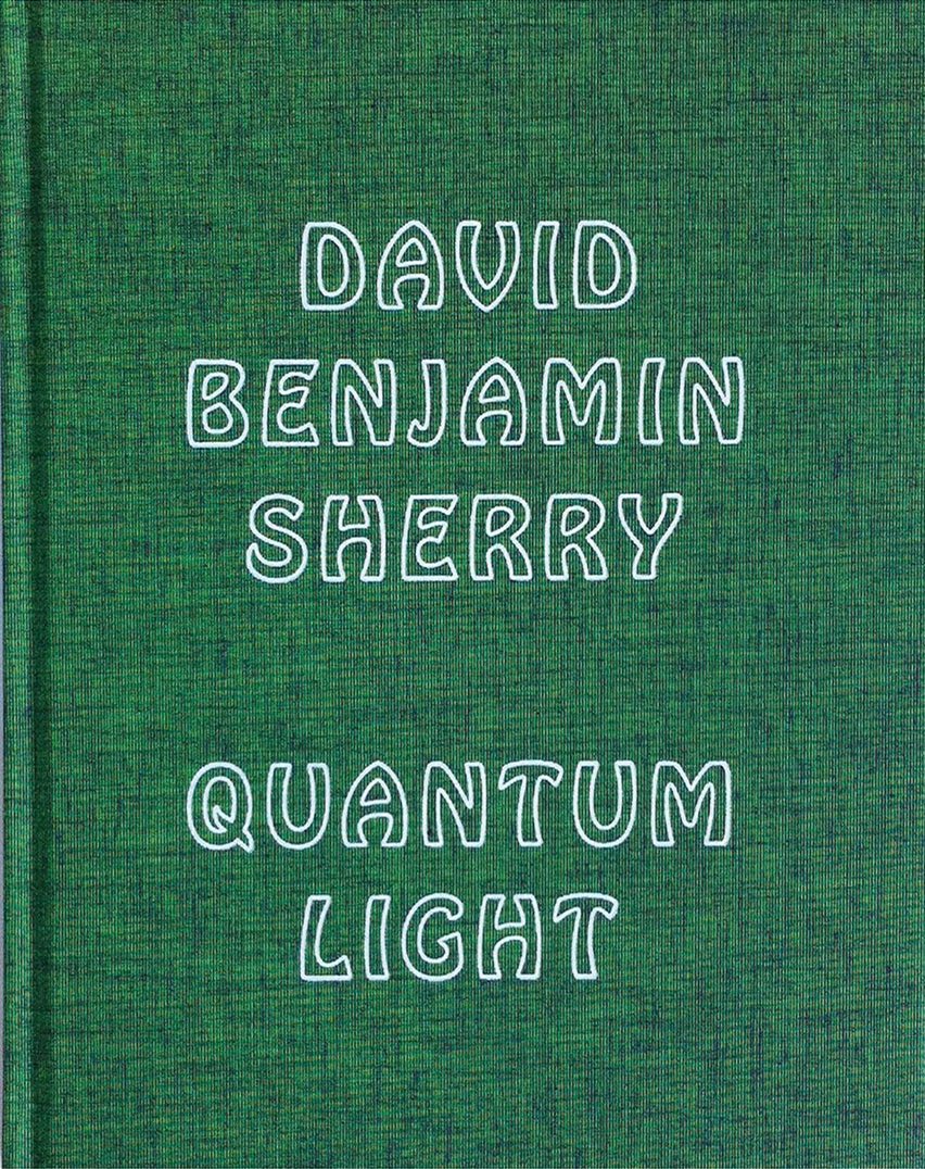 Quantum Light, Bologna, Damiani, 2012