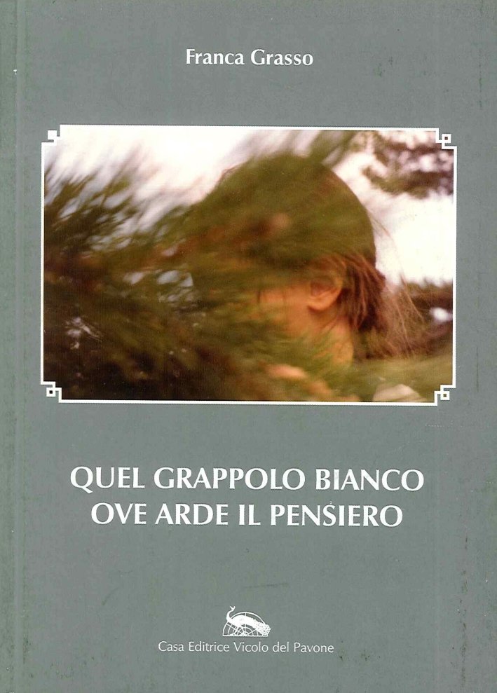 Quel grappolo bianco ove arde il pensiero, Piacenza, Vicolo del …