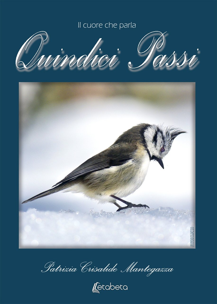 Quindici passi, Lesmo, EBS Print, 2019 | Immagine principale