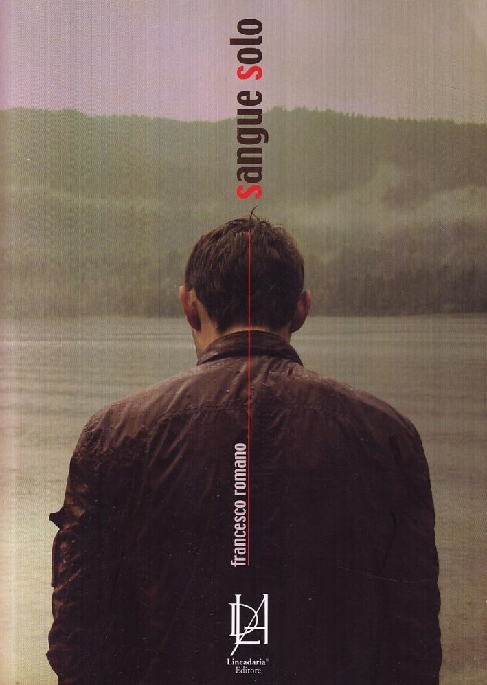 Sangue solo, Biella, Lineadaria, 2010 | Immagine principale