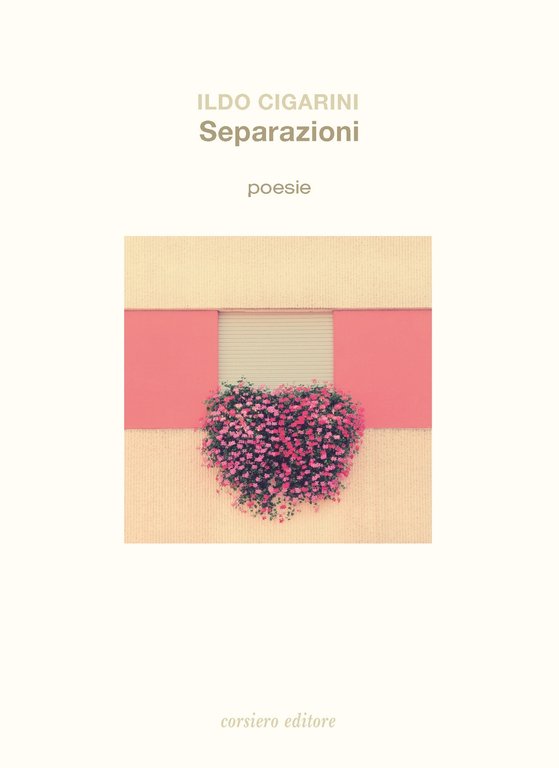 Separazioni, Reggio Emilia, Corsiero Editore, 2020