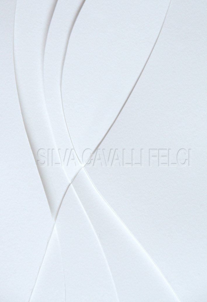 Silva Cavalli Felci. La vita è insufficiente | Immagine principale