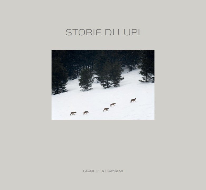 Storie di lupi | Immagine principale