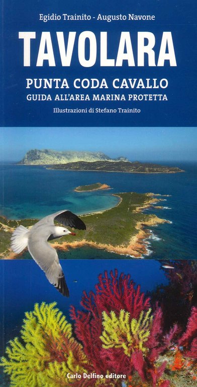 Tavolara. Punta Coda Cavallo. Guida all'area marina protetta, Sassari, Carlo Delfino Editore, 2022