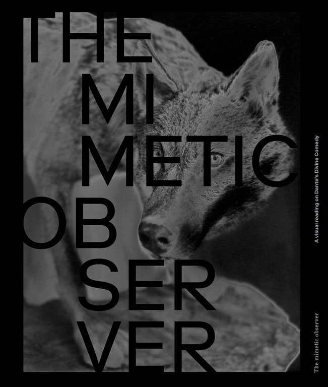 The Mimetic Observer. Immaginari della Divina Commedia di Dante